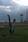 yogic