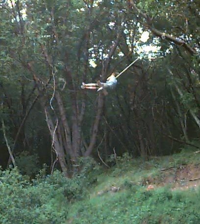 jah swing