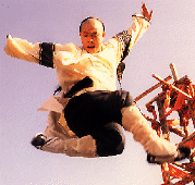 legend of fong sai yuk - jet li airborne