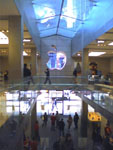 photo from justin's treo