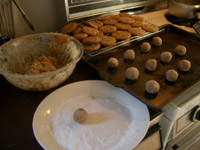 ginger snaps