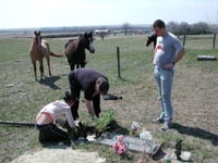 Nebraska, April 2003