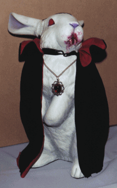 bunnicula - gross