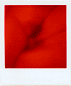 crev