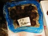 Picture from Tokyo's Tsukiji Wholesale (Fish) Market - click for a blowup and maybe some useful information.