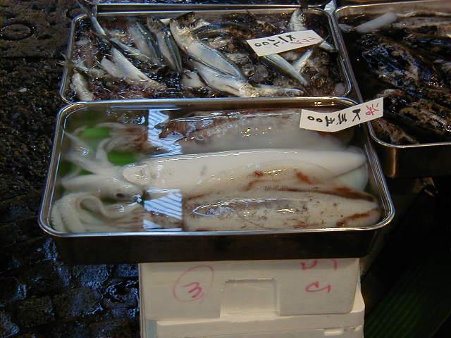 index.html
