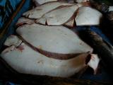 Picture from Tokyo's Tsukiji Wholesale (Fish) Market - click for a blowup and maybe some useful information.
