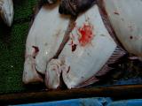 Picture from Tokyo's Tsukiji Wholesale (Fish) Market - click for a blowup and maybe some useful information.