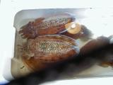 Picture from Tokyo's Tsukiji Wholesale (Fish) Market - click for a blowup and maybe some useful information.