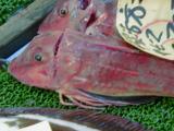 Picture from Tokyo's Tsukiji Wholesale (Fish) Market - click for a blowup and maybe some useful information.