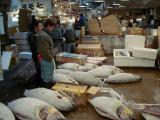 Picture from Tokyo's Tsukiji Wholesale (Fish) Market - click for a blowup and maybe some useful information.