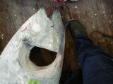 Picture from Tokyo's Tsukiji Wholesale (Fish) Market - click for a blowup and maybe some useful information.