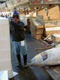 Picture from Tokyo's Tsukiji Wholesale (Fish) Market - click for a blowup and maybe some useful information.