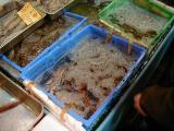 Picture from Tokyo's Tsukiji Wholesale (Fish) Market - click for a blowup and maybe some useful information.