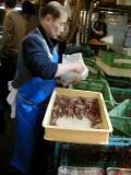 Picture from Tokyo's Tsukiji Wholesale (Fish) Market - click for a blowup and maybe some useful information.