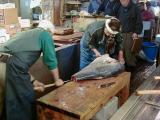 Picture from Tokyo's Tsukiji Wholesale (Fish) Market - click for a blowup and maybe some useful information.