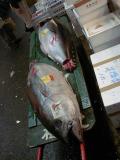 Picture from Tokyo's Tsukiji Wholesale (Fish) Market - click for a blowup and maybe some useful information.
