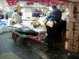 Picture from Tokyo's Tsukiji Wholesale (Fish) Market - click for a blowup and maybe some useful information.
