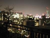 View from the Japanese Gardened Balcony