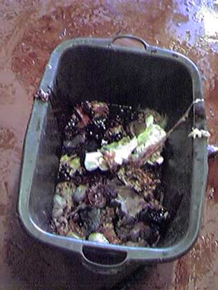 gutbucket